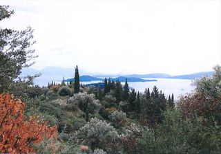 Οικόπεδο 6.179 τ.μ. για πώληση