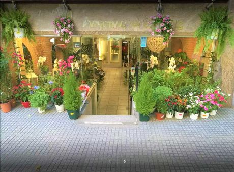 Business bulding 67sqm for sale-Rotonta