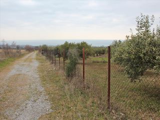 Οικόπεδο 9.062 τ.μ. για πώληση