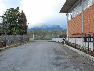 Άλλο 1.000 τ.μ. για πώληση, Ν. Πιερίας, Λιτόχωρο-thumb-3