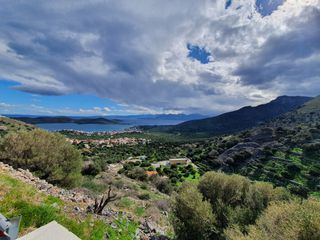 Οικόπεδο 8.000 τ.μ. για πώληση