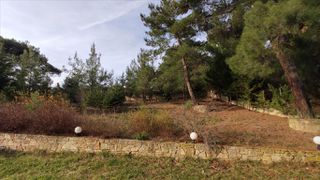 Βίλλα 500 τ.μ. προς πώληση, Κέντρο Πολυγύρου-thumb-45