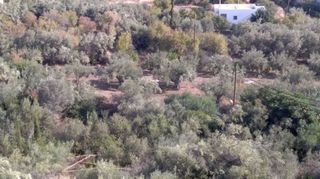 Οικόπεδο 1.307 τ.μ. για πώληση, Αργολίδα, Ασίνη-thumb-4
