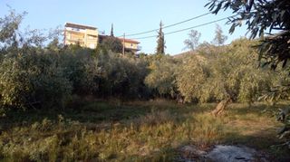 Οικόπεδο 1.307 τ.μ. για πώληση, Αργολίδα, Ασίνη-thumb-7