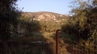 Οικόπεδο 1.307 τ.μ. για πώληση, Αργολίδα, Ασίνη-thumb-8