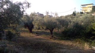 Οικόπεδο 1.307 τ.μ. για πώληση, Αργολίδα, Ασίνη-thumb-5