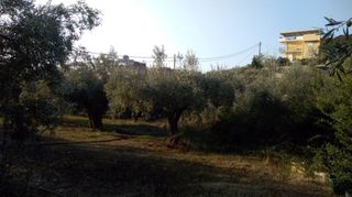 Οικόπεδο 1.307 τ.μ. για πώληση, Αργολίδα, Ασίνη-thumb-9