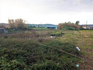 Οικόπεδο 4.400 τ.μ. για πώληση, Ν. Κέρκυρας, Κέρκυρα-thumb-7