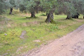 Οικόπεδο 3.700 τ.μ. για πώληση, Ν. Κέρκυρας, Κέρκυρα-thumb-3