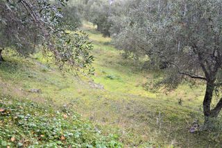 Οικόπεδο 3.700 τ.μ. για πώληση, Ν. Κέρκυρας, Κέρκυρα-thumb-6