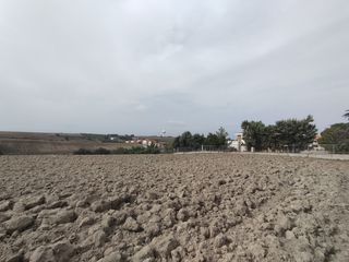 Οικόπεδο 11.350 τ.μ. για πώληση