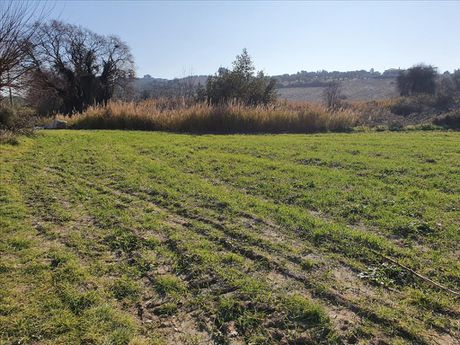 Οικόπεδο 4.000 τ.μ. για πώληση