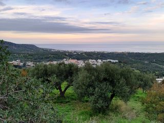 Οικόπεδο 2.000 τ.μ. για πώληση