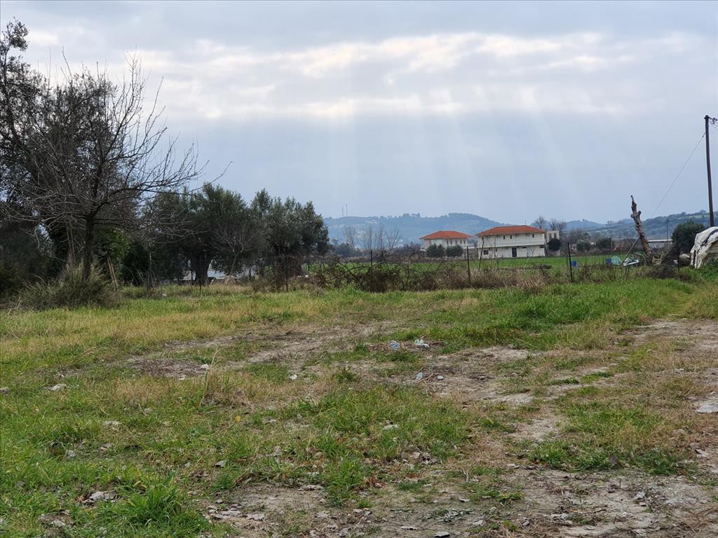 Οικόπεδο 2.000 τ.μ. προς πώληση, Σκάλα Φούρκας