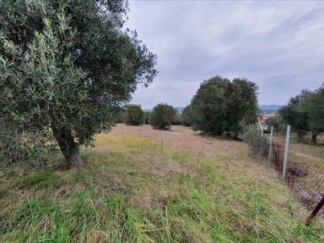 Οικόπεδο 5.500 τ.μ. για πώληση