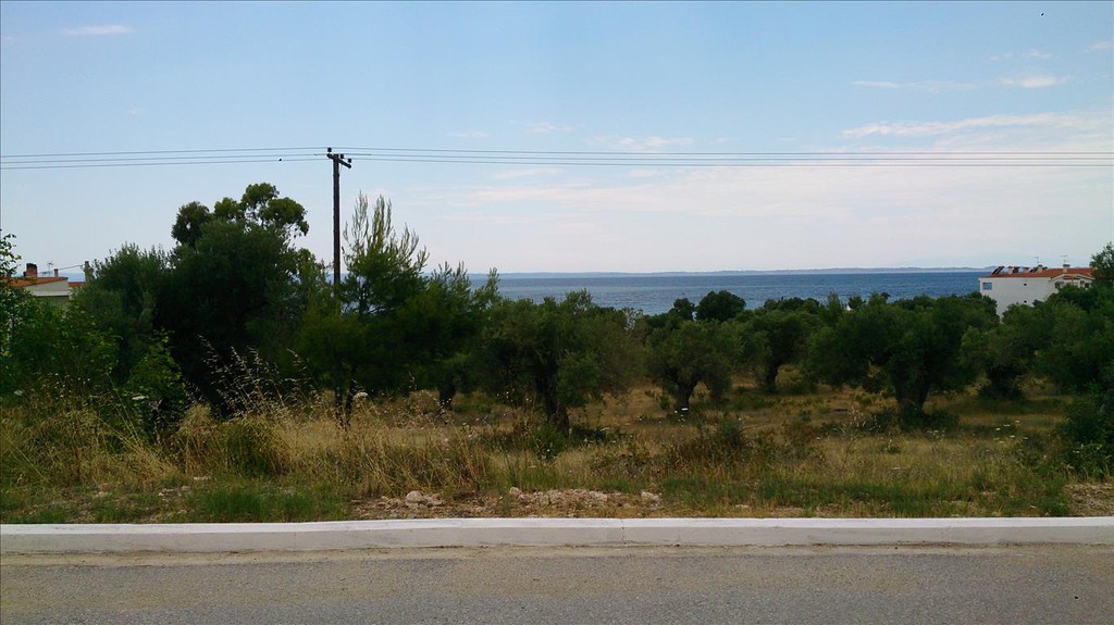 Οικόπεδο 5.658 τ.μ. προς πώληση, Σκάλα Γερακινής