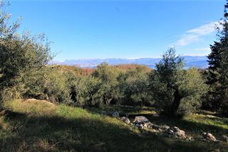 Οικόπεδο 6.000 τ.μ. για πώληση, Ν. Κέρκυρας, Κέρκυρα-thumb-2