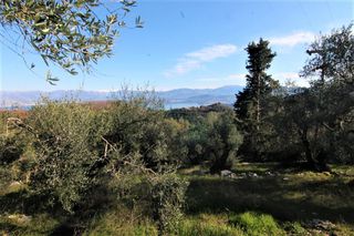 Οικόπεδο 6.000 τ.μ. για πώληση, Ν. Κέρκυρας, Κέρκυρα-thumb-4