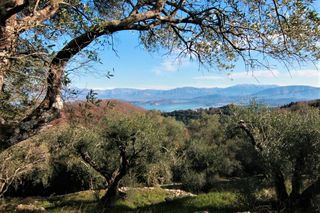 Οικόπεδο 6.000 τ.μ. για πώληση