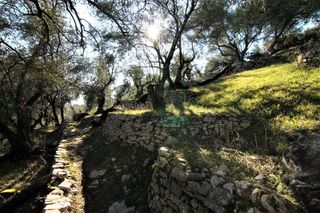 Οικόπεδο 6.000 τ.μ. για πώληση, Ν. Κέρκυρας, Κέρκυρα-thumb-9