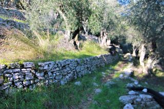 Οικόπεδο 6.000 τ.μ. για πώληση, Ν. Κέρκυρας, Κέρκυρα-thumb-8
