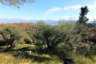 Οικόπεδο 6.000 τ.μ. για πώληση, Ν. Κέρκυρας, Κέρκυρα-thumb-3