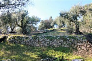 Οικόπεδο 6.000 τ.μ. για πώληση, Ν. Κέρκυρας, Κέρκυρα-thumb-7