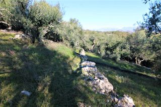 Οικόπεδο 6.000 τ.μ. για πώληση, Ν. Κέρκυρας, Κέρκυρα-thumb-6