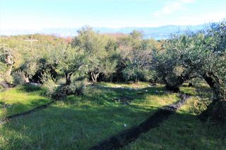 Οικόπεδο 6.000 τ.μ. για πώληση, Ν. Κέρκυρας, Κέρκυρα-thumb-5
