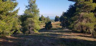 Οικόπεδο 3.200 τ.μ. προς πώληση