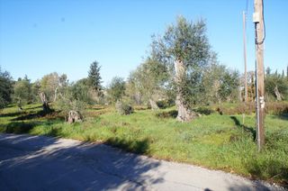 Οικόπεδο 17.500 τ.μ. για πώληση, Ν. Κέρκυρας, Κέρκυρα-thumb-5