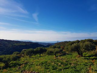 Οικόπεδο 19.700 τ.μ. για πώληση, Ν. Λασιθίου, Νεάπολη-thumb-1