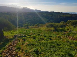 Οικόπεδο 10.226 τ.μ. για πώληση, Ν. Λασιθίου, Νεάπολη-thumb-2