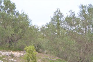 Οικόπεδο 9.500 τ.μ. για πώληση, Ν. Κέρκυρας, Κέρκυρα-thumb-1