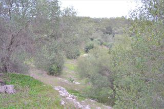 Οικόπεδο 9.500 τ.μ. για πώληση, Ν. Κέρκυρας, Κέρκυρα-thumb-3