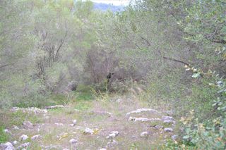 Οικόπεδο 9.500 τ.μ. για πώληση, Ν. Κέρκυρας, Κέρκυρα-thumb-2
