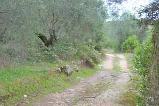 Οικόπεδο 9.500 τ.μ. για πώληση, Ν. Κέρκυρας, Κέρκυρα-thumb-5