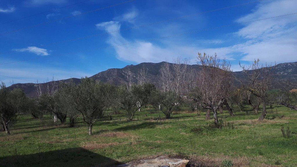 Οικόπεδο 18.250 τ.μ. προς πώληση, Γαλάτιστα