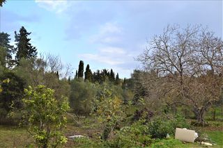 Οικόπεδο 10.000 τ.μ. για πώληση, Ν. Κέρκυρας, Κέρκυρα-thumb-1