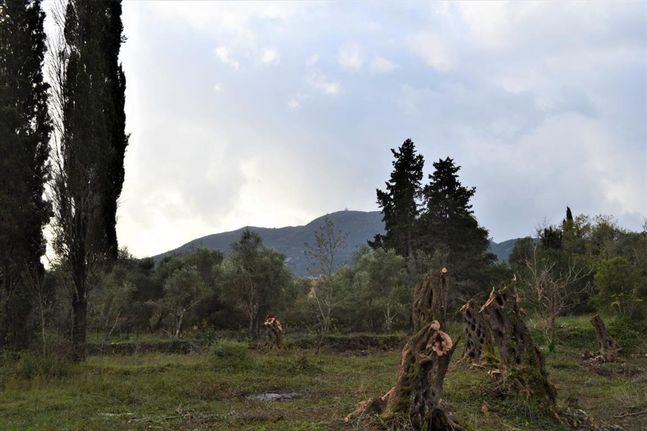 Land plot 10.000 sqm for sale, Corfu Prefecture, Corfu