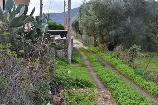 Οικόπεδο 10.000 τ.μ. για πώληση, Ν. Κέρκυρας, Κέρκυρα-thumb-8