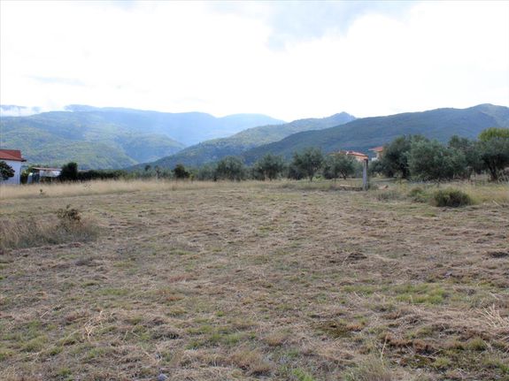 Οικόπεδο 5.550 τ.μ. για πώληση, Ν. Πιερίας, Ανατολικος Όλυμπος
