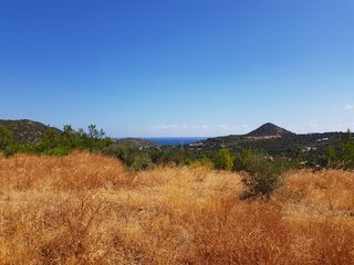 Οικόπεδο 4.166 τ.μ. για πώληση