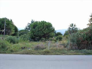 Οικόπεδο 2.000 τ.μ. για πώληση, Ημαθία, Βεργίνα-thumb-2