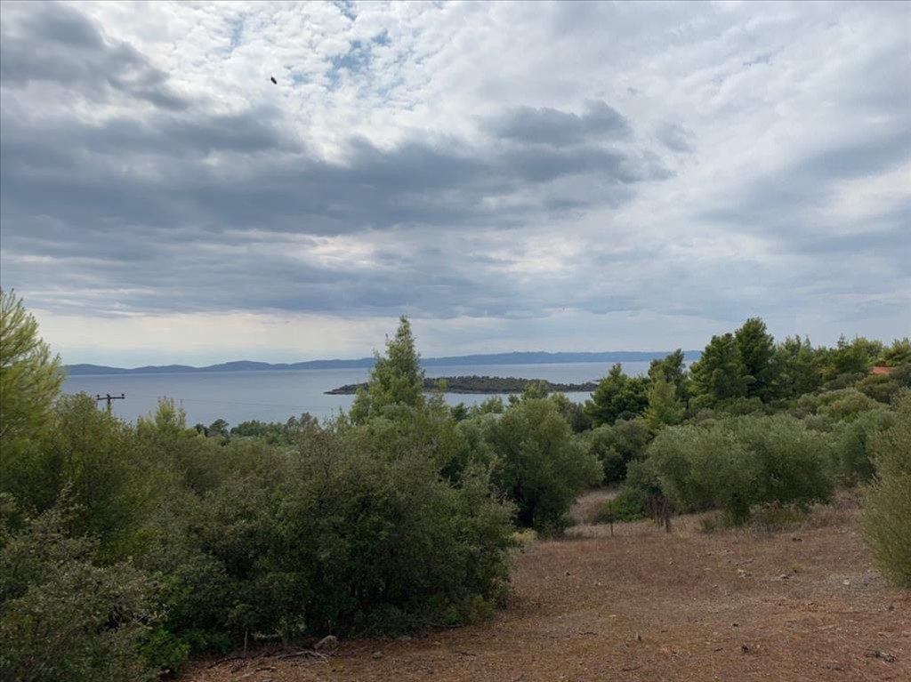 Οικόπεδο 12.458 τ.μ. προς πώληση, Σπαλαθρονήσια