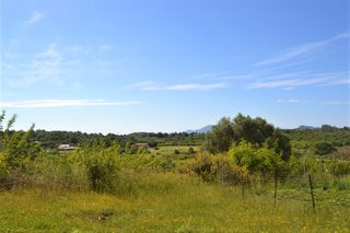 Οικόπεδο 12.044 τ.μ. για πώληση