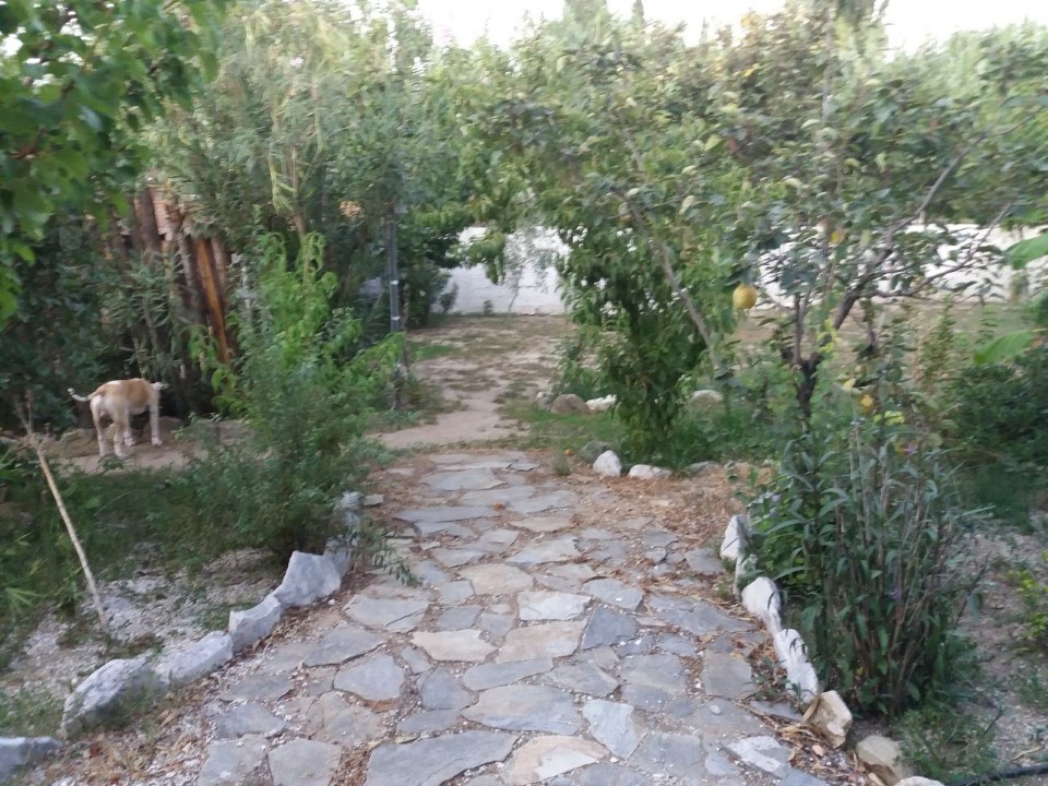 Επαγγελματικό 320 τ.μ. πρός πώληση, Μαγνησία, Αρτέμιδα