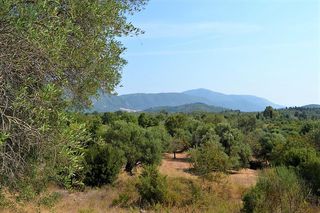 Οικόπεδο 30.000 τ.μ. για πώληση