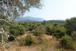 Οικόπεδο 30.000 τ.μ. για πώληση