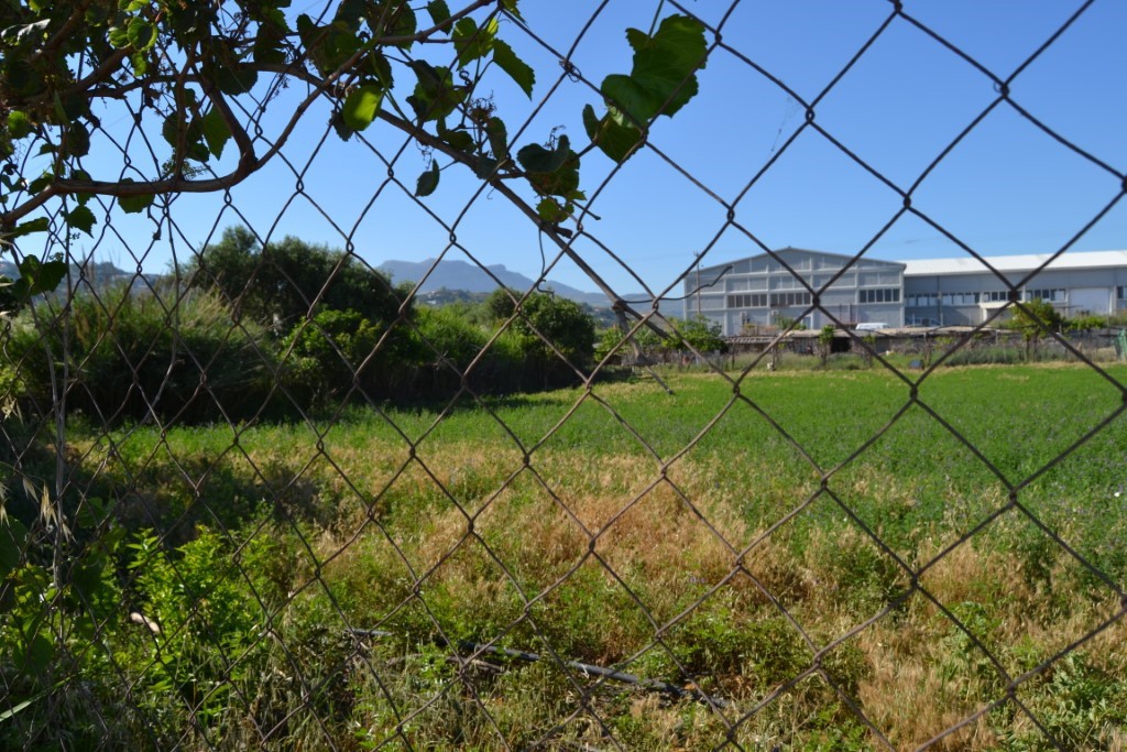 Οικόπεδο 6.250 τ.μ. προς πώληση, Λοφούπολη